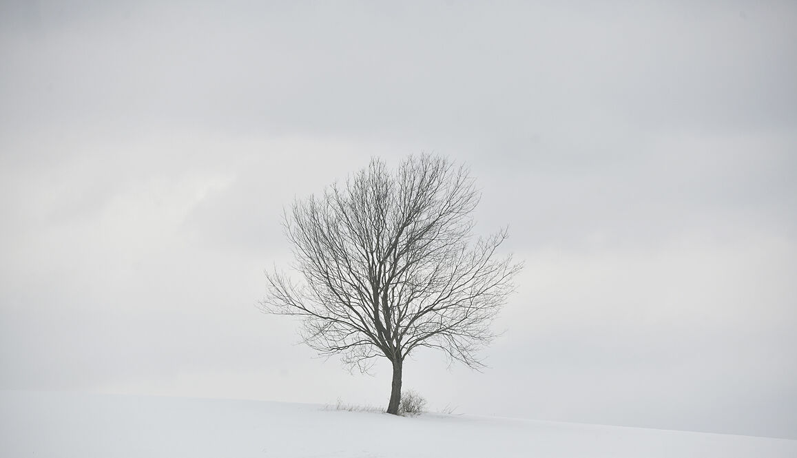 Winter serenity